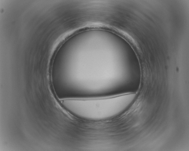 X0000072951327200607210922