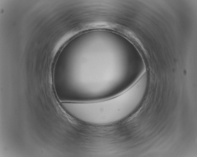 X0000072951328200607210922