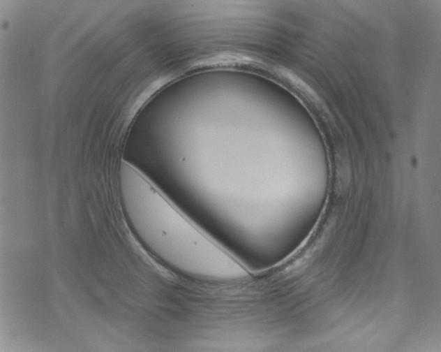 X0000072951329200607210922