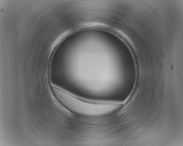 X0000072951330200607210922