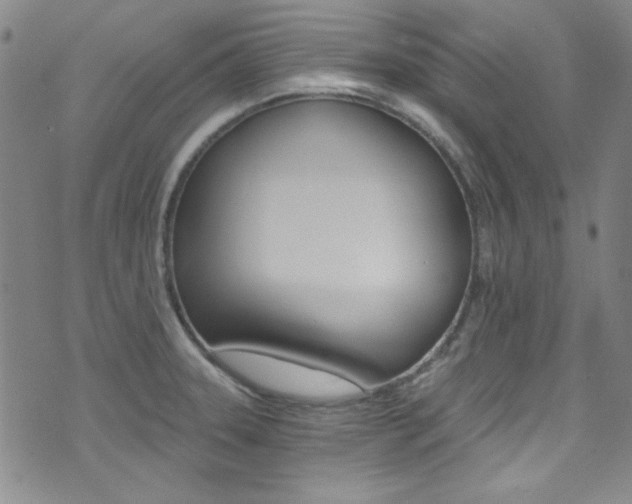 X0000072951331200607210922