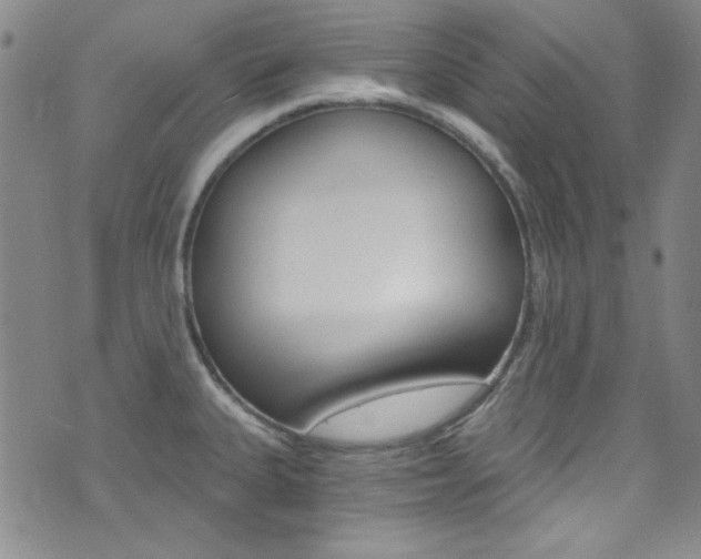 X0000072951335200607210922