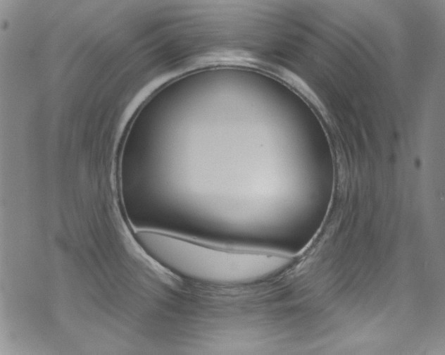 X0000072951339200607210922