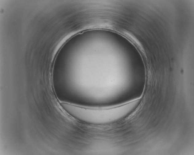X0000072951340200607210922