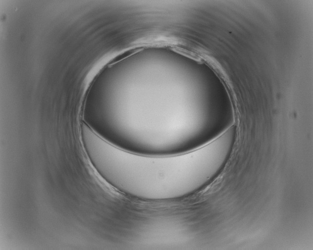 X0000072951344200607210923