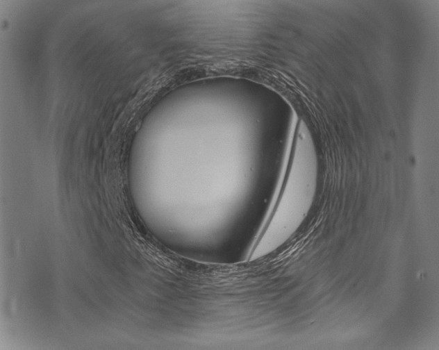 X0000072951345200607210922