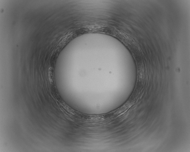 X0000072951346200607210922