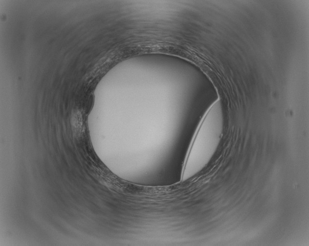 X0000072951347200607210922