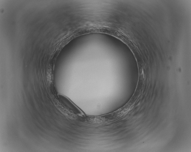 X0000072951348200607210922