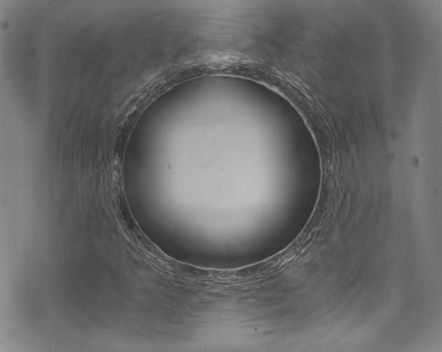 X0000072951349200607210922