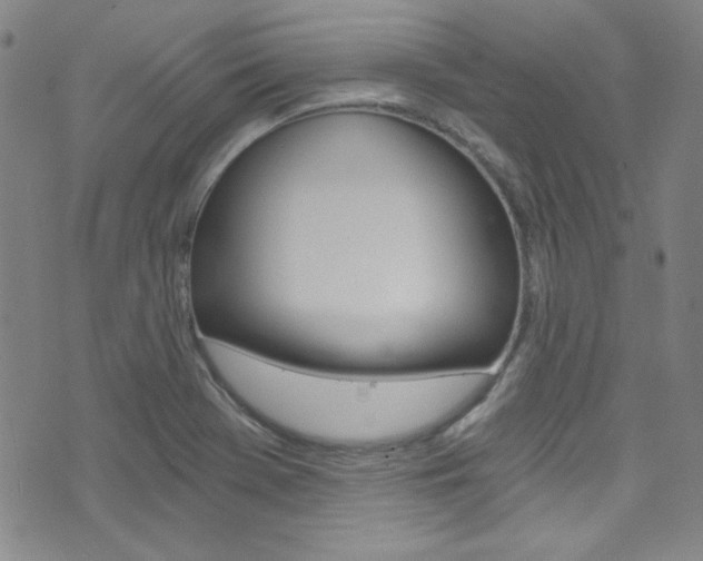X0000072951369200607210921