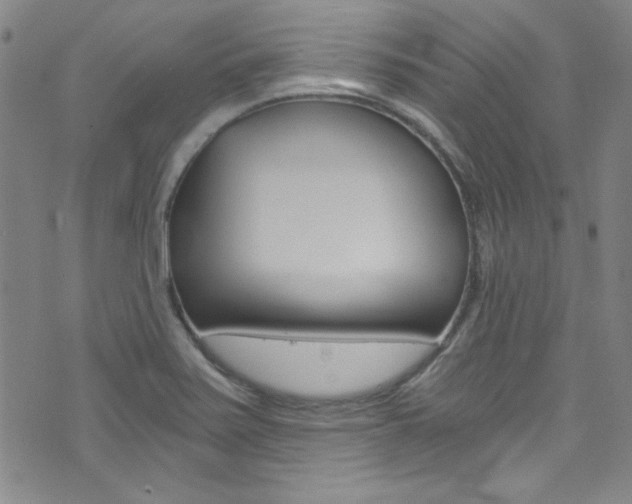X0000072951371200607210921