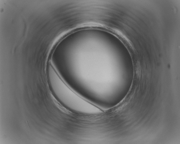 X0000072951372200607210921