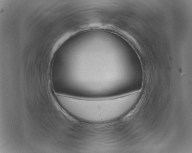 X0000072951373200607210921