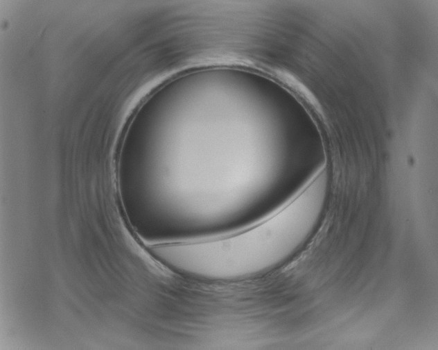 X0000072951380200607210921