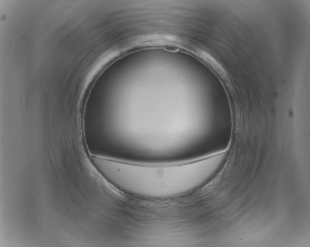 X0000072951384200607210921