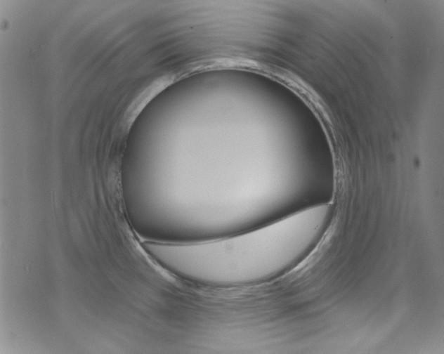 X0000072951385200607210921
