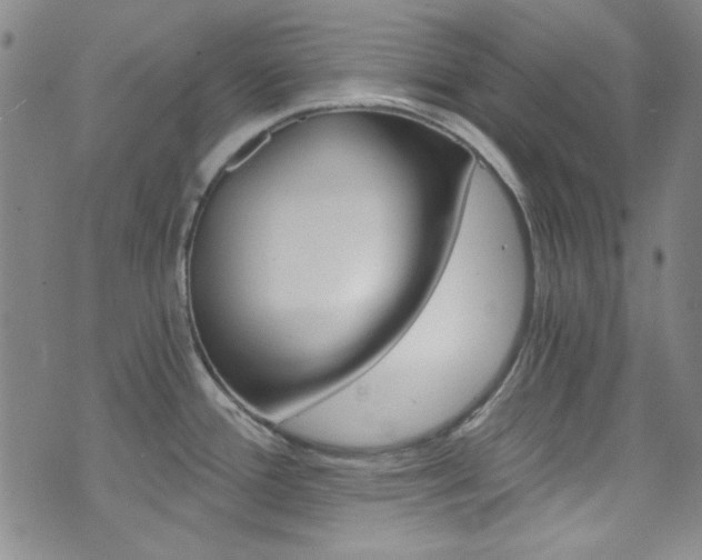 X0000072951388200607210921