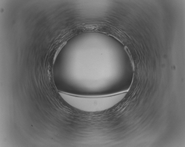 X0000072951394200607210920