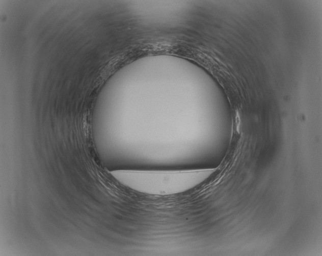 X0000072951395200607210920