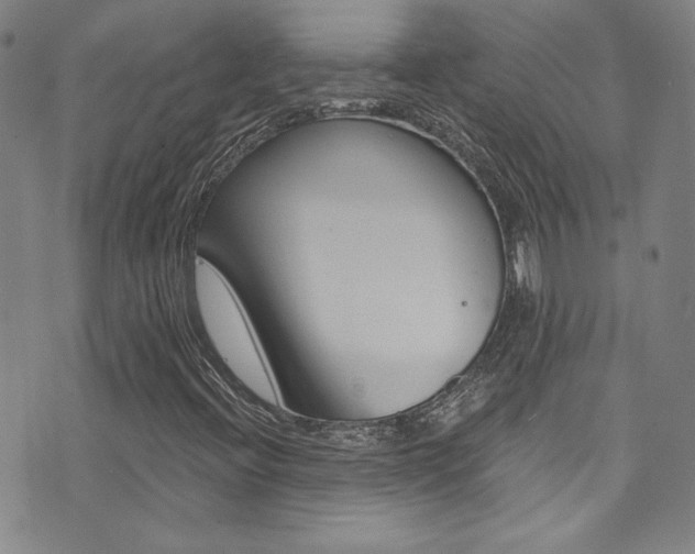 X0000072951396200607210920
