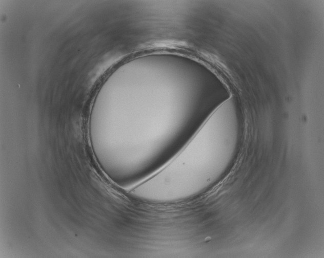 X0000072951404200607210920