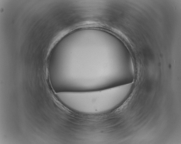 X0000072951413200607210921