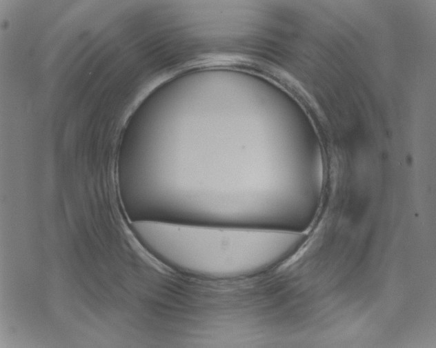 X0000072951417200607210921
