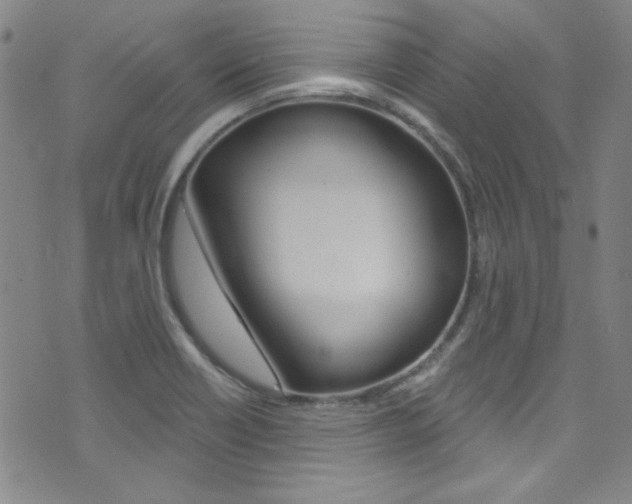 X0000072951418200607210921