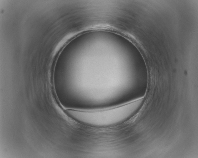 X0000072951422200607210921