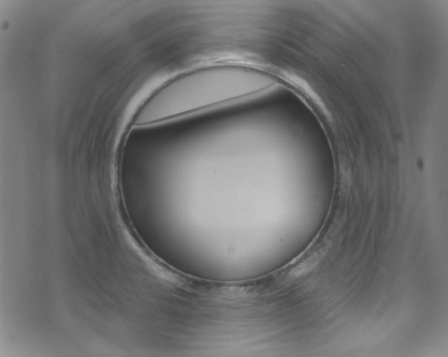 X0000072951424200607210921