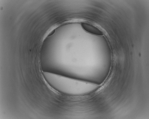 X0000072951425200607210921