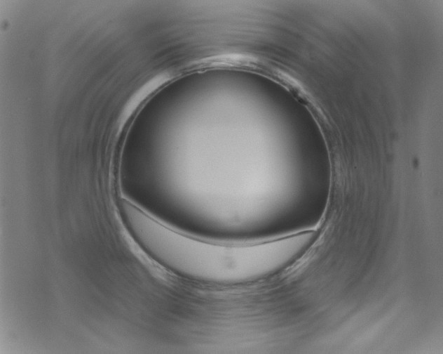 X0000072951426200607210921