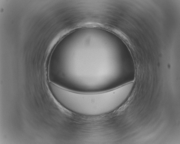 X0000072951430200607210921