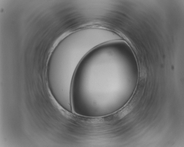 X0000072951434200607210921