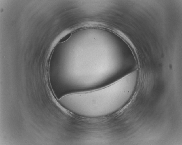 X0000072951437200607210921
