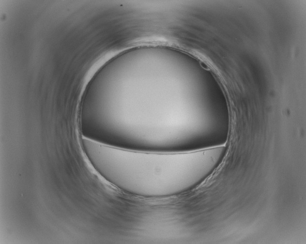 X0000072951440200607210921