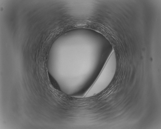 X0000072951441200607210920