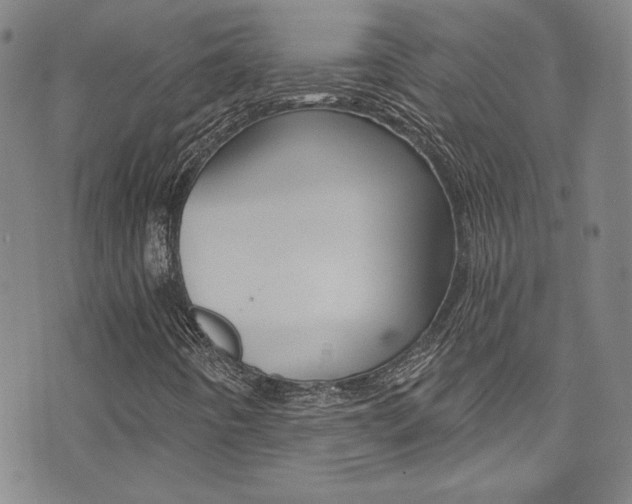 X0000072951442200607210920
