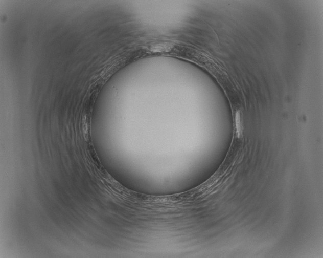 X0000072951443200607210920