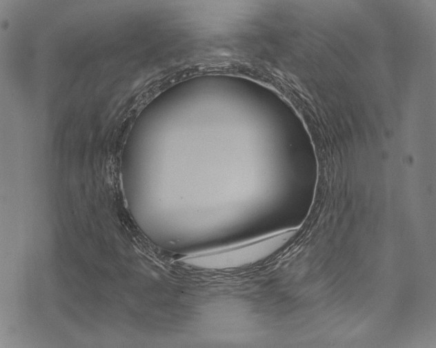 X0000072951445200607210920