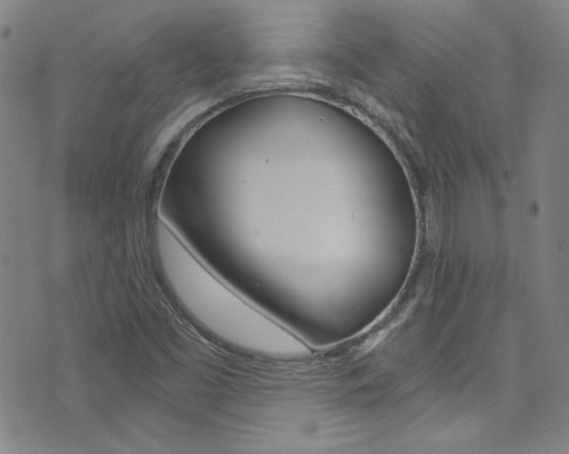 X0000072951453200607210920
