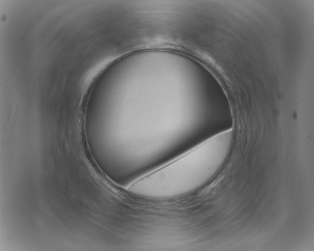X0000072951463200607210920
