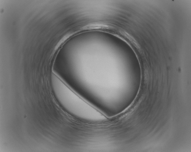 X0000072951465200607210920