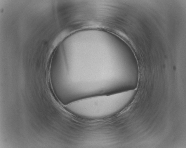 X0000072951467200607210920
