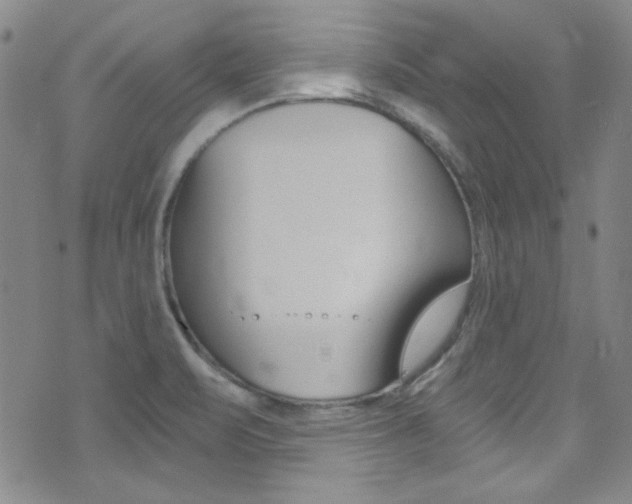 X0000072951471200607210920
