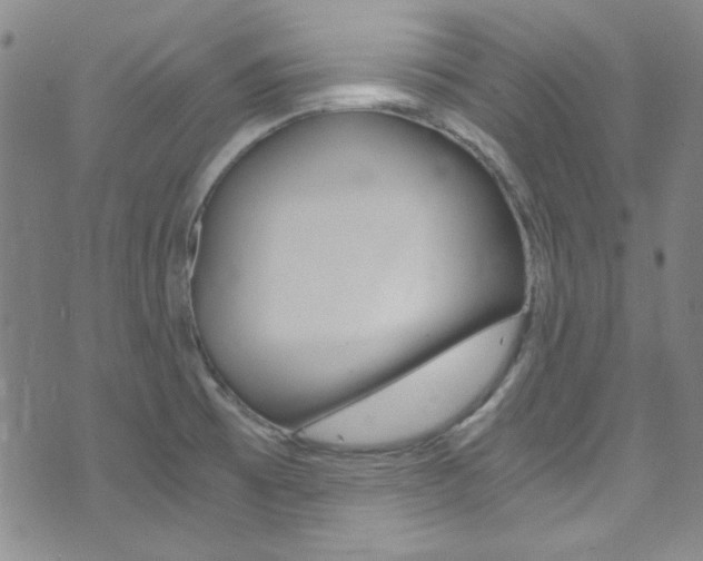 X0000072951473200607210920
