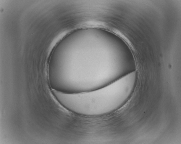 X0000072951477200607210920
