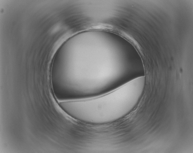 X0000072951483200607210920