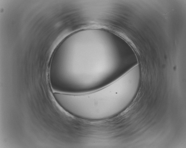X0000072951484200607210920
